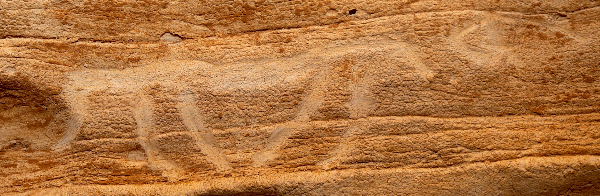 Descoberta una cova amb gravats prehistòrics inèdits a la Febró (Baix Camp, Tarragona)