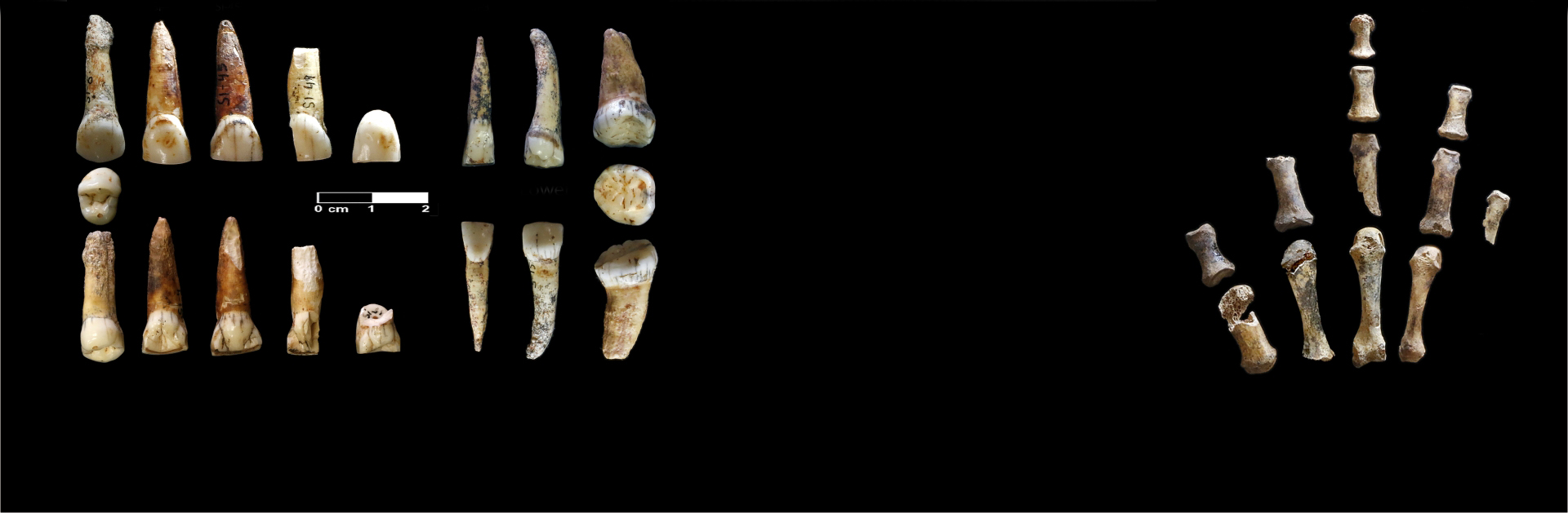 Identifiquen restes neandertals a la Cova Simanya de fa més de 50.000 anys