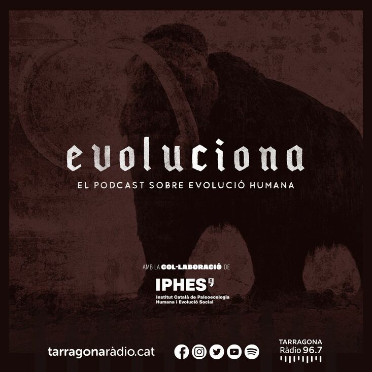 Paleogenomics with Dr. Carles Lalueza-Fox on the program Evoluciona de Tarragona Ràdio and IPHES