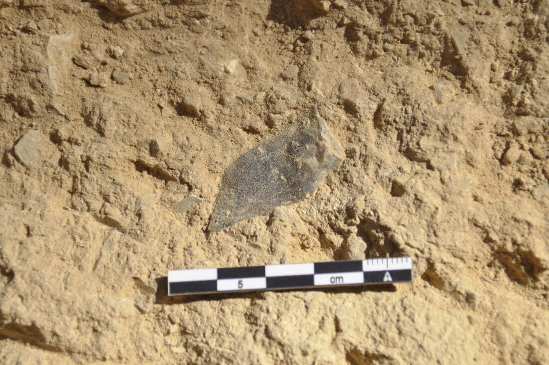 Excavations in the Cova del Trader (Cubelles, Garraf) reveal short-term occupations by Neanderthals