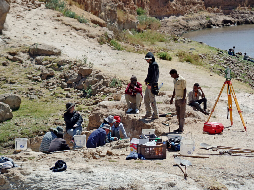 Encuentran el único fósil conocido del lobo etíope
