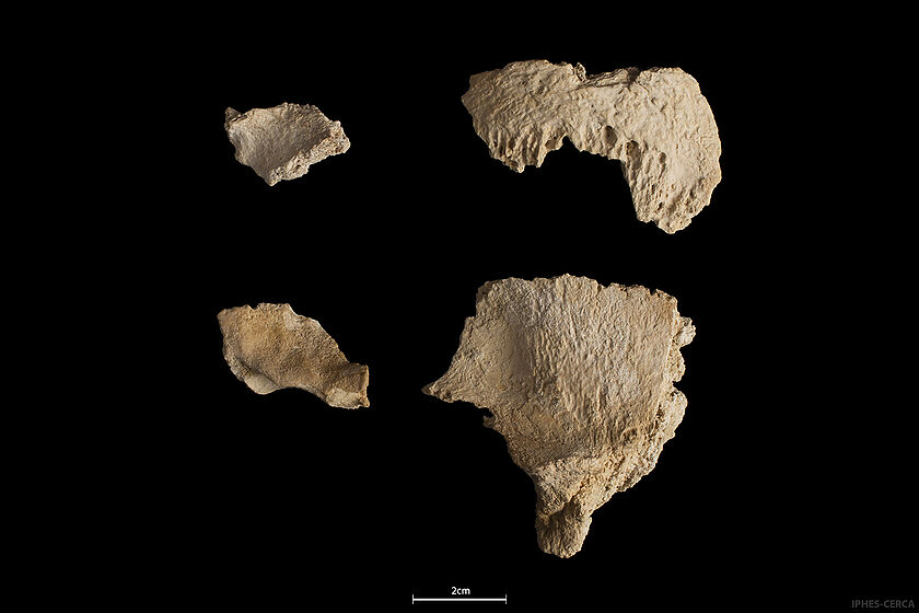 Aparece el Neandertal del Abric Romaní durante la celebración del 40 aniversario de las excavaciones