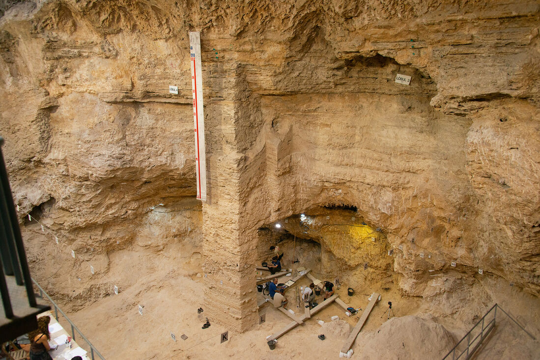 Discovery of  Neanderthal remains at the 40th anniversary of the excavations at the Abric Romaní