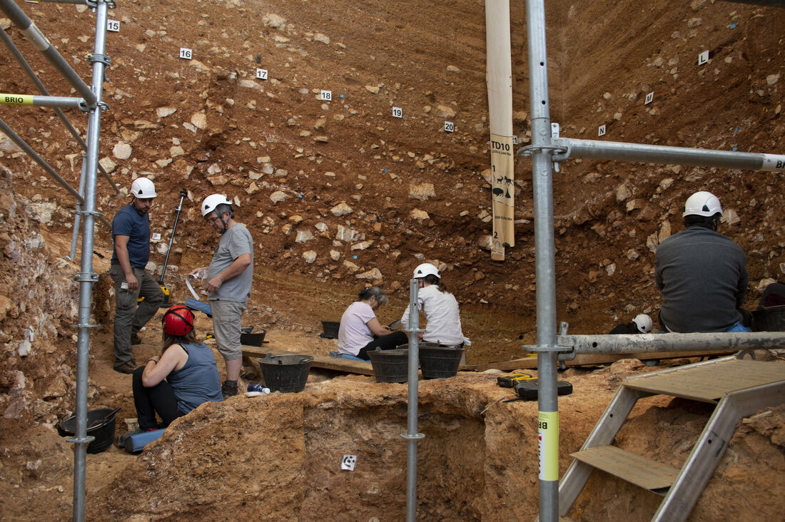 80 members of the IPHES-CERCA and the URV participate in the Atapuerca excavation campaign