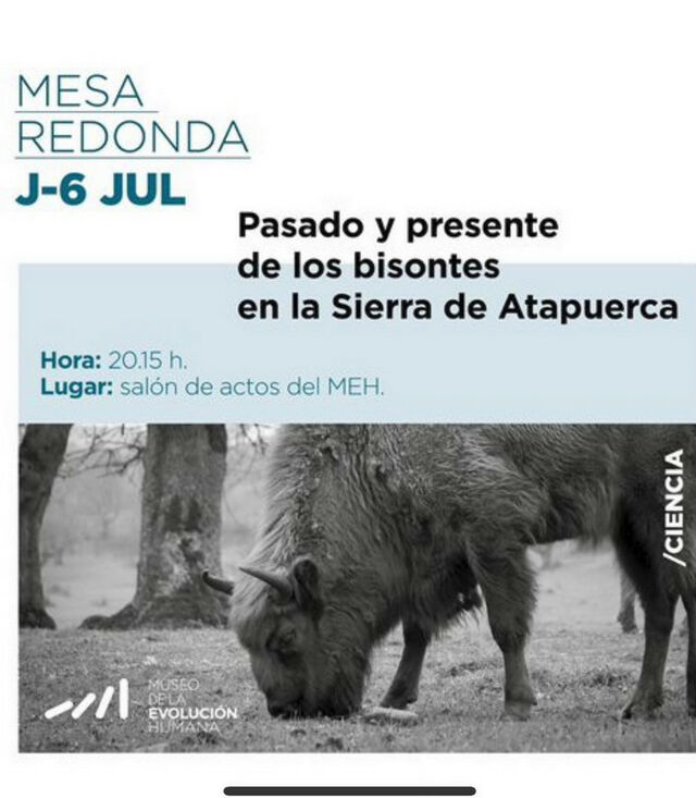 Antonio Rodríguez-Hidalgo partipa a la taula rodona: &quot;Passat i present dels bisons a la Sierra de Atapuerca&quot;