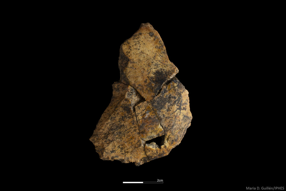New remains of Homo antecessor portend a very promising future for the Atapuerca sites