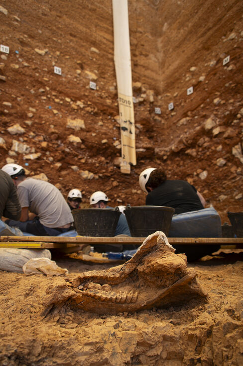 Nuevos restos de Homo antecessor auguran un futuro muy prometedor para los yacimientos de Atapuerca