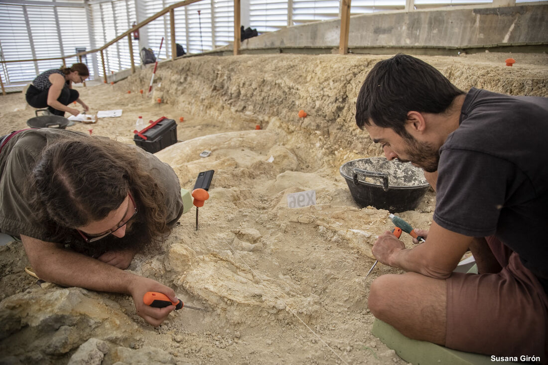 Finalitza una campanya d’excavació “màgica” a Orce amb nombroses restes arqueològiques de 1,5 milions d'anys