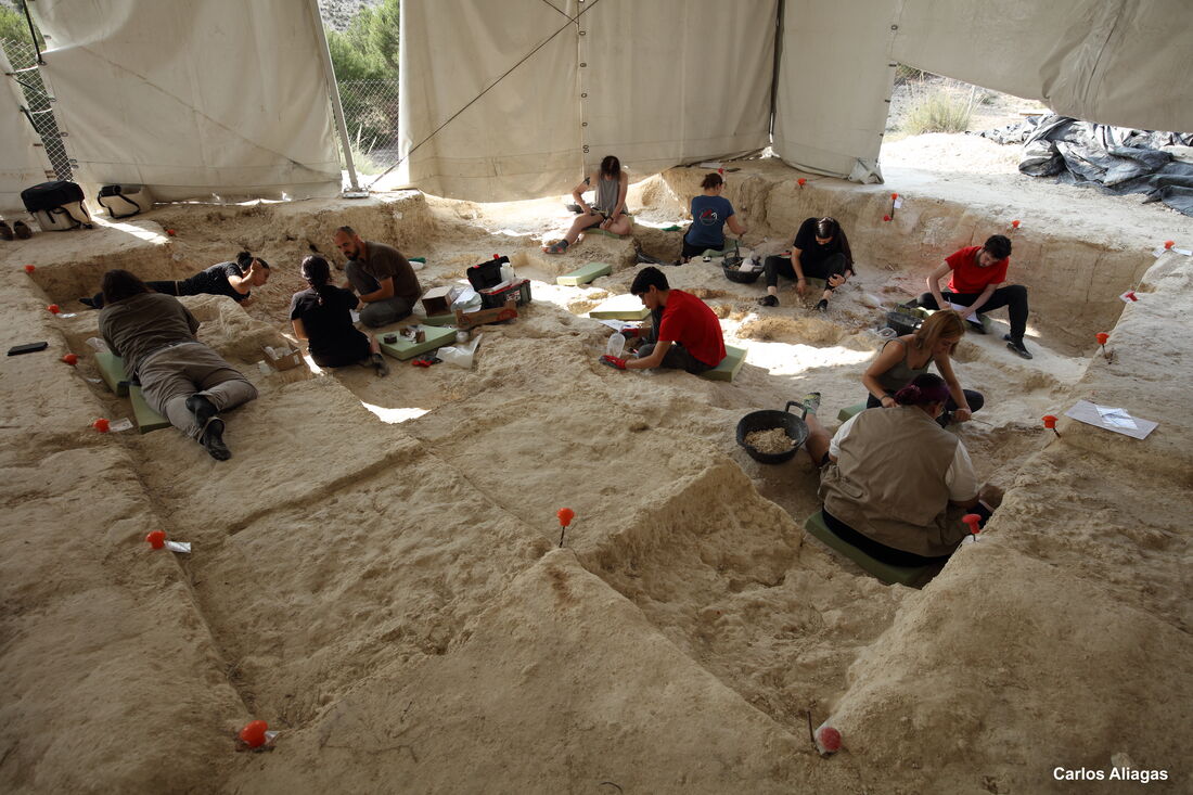 Finaliza una campaña de excavación “mágica” en Orce con numerosos restos arqueológicos de 1,5 millones de años