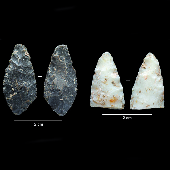 Las excavaciones en la cova d’en Pau, de Serinyà, ponen al descubierto restos animales y cultura material de hace más de 20.000 años