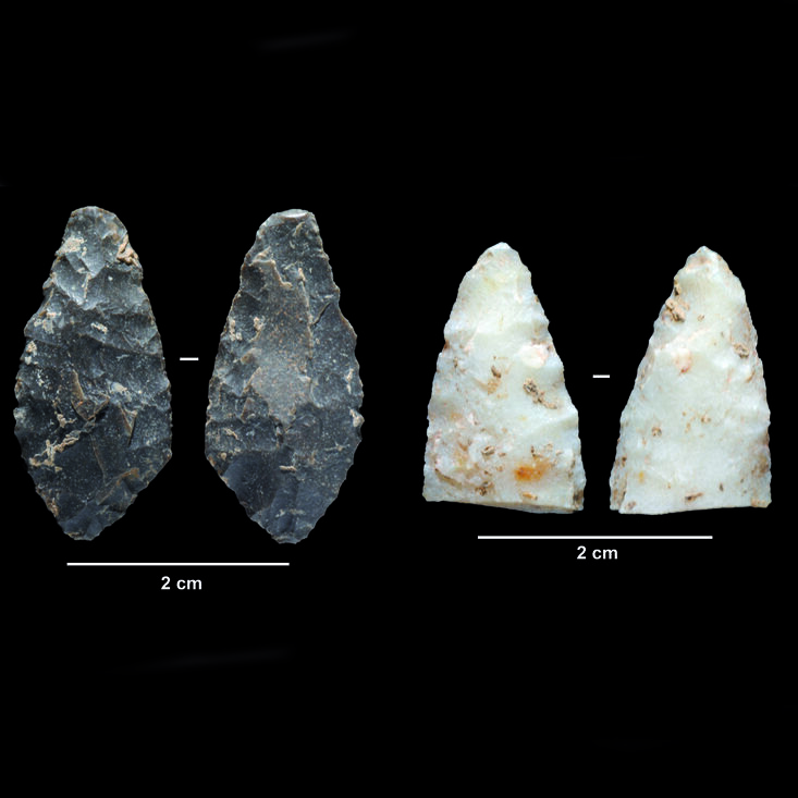 Las excavaciones en la cova d’en Pau, de Serinyà, ponen al descubierto restos animales y cultura material de hace más de 20.000 años
