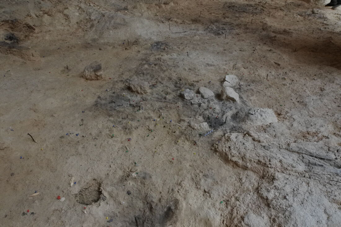 Las excavaciones en el Abric Romaní revelan un campamento de otoño de comunidades neandertales cazadoras de ciervos de hace 60.000 años