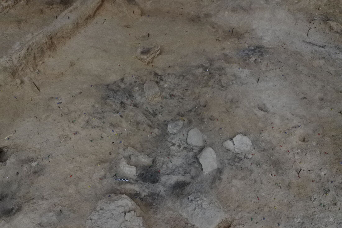 Las excavaciones en el Abric Romaní revelan un campamento de otoño de comunidades neandertales cazadoras de ciervos de hace 60.000 años