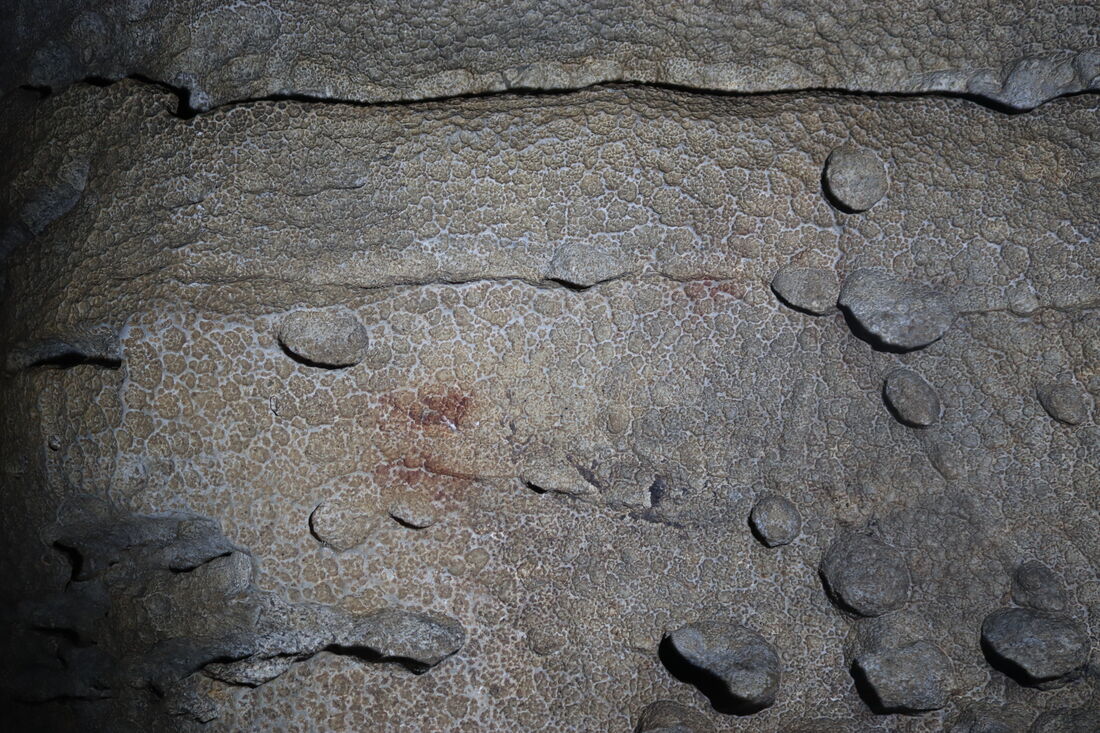 Les darreres excavacions a Cueva Eirós permeten aprofundir en els modes de vida dels neandertals a les serres orientals de Galícia