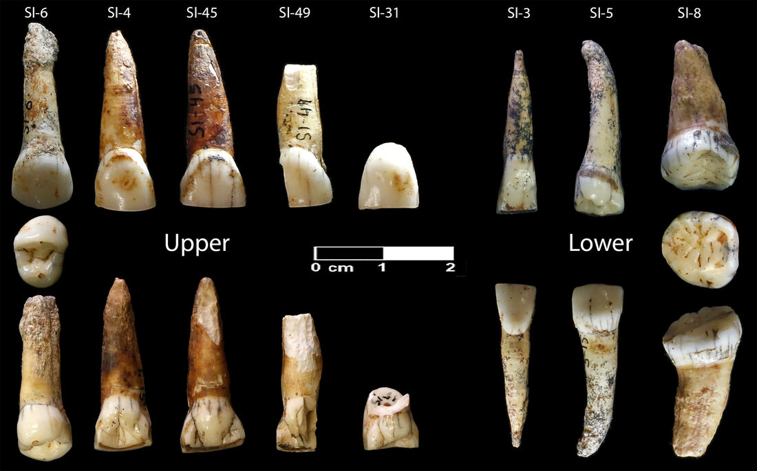 Neanderthal Remains Over 50,000 Years Old Identified at Cova Simanya (Barcelona, Spain)