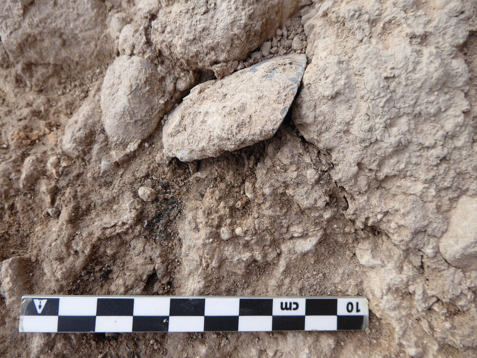 L’excavació al jaciment de Cal Sitjo de Sant Martí de Tous posa al descobert estructures d’hàbitat neolítiques