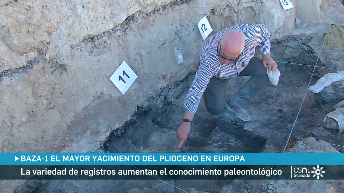 Excavation at the Baza-1 site (Granada) in Canal Sur