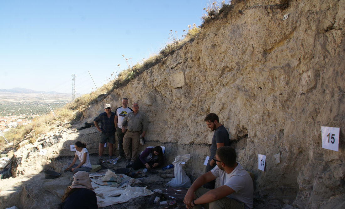 Descobertes al jaciment de Baza-1 (Granada) les restes de l’últim cocodril que va viure a Europa fa 4,5 milions d'anys