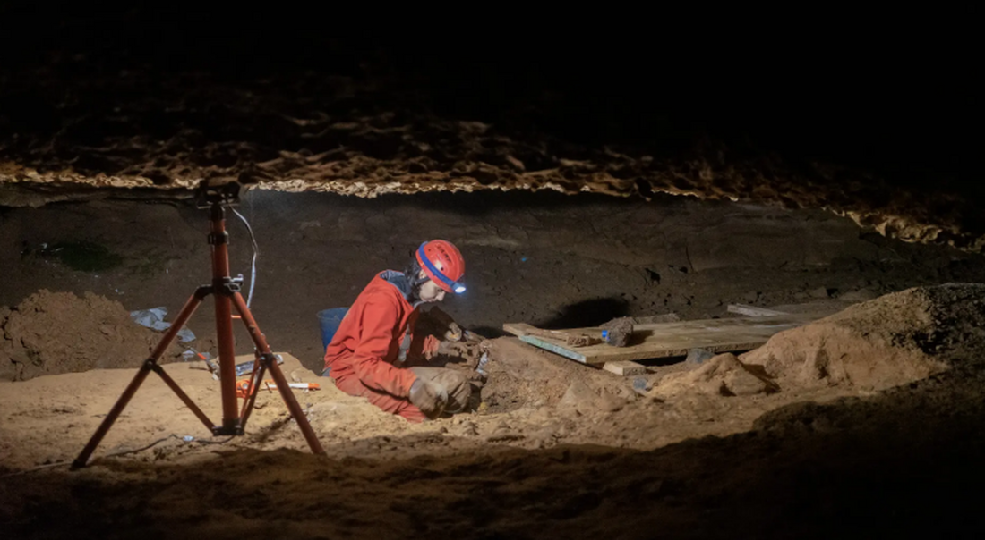 Míriam Salas consigue una beca predoctoral FPU para estudiar los grabados de arte rupestre paleolítico de la Cova de la Font Major
