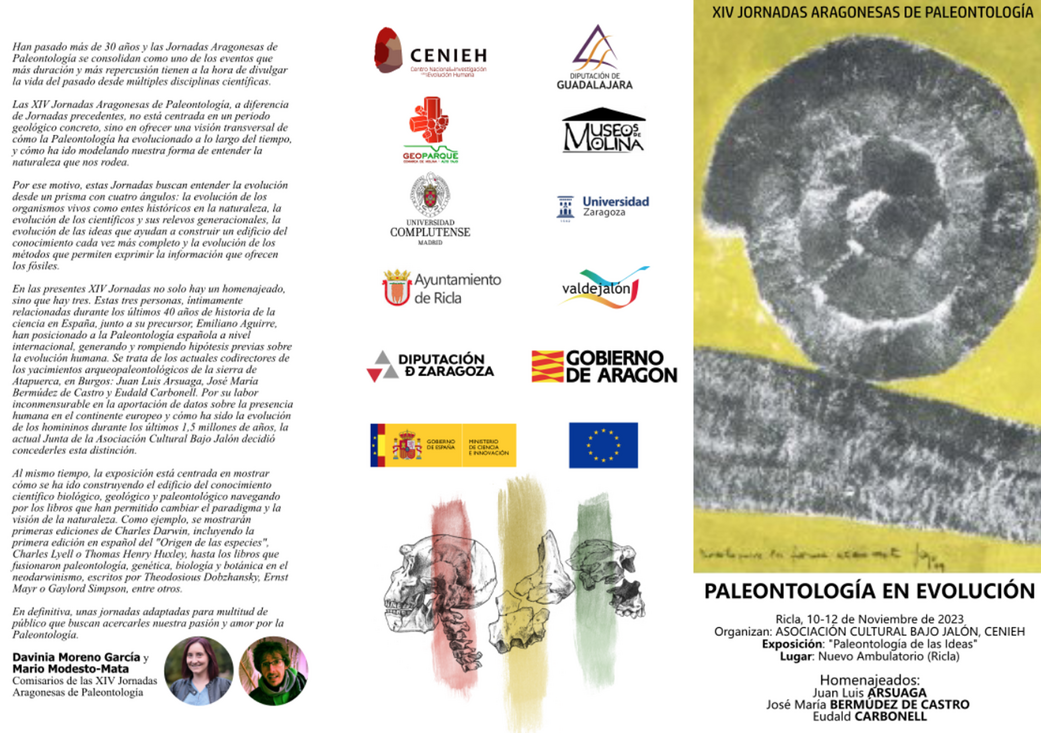 IPHES-CERCA participates in the XIV Aragonese Conference on Paleontology