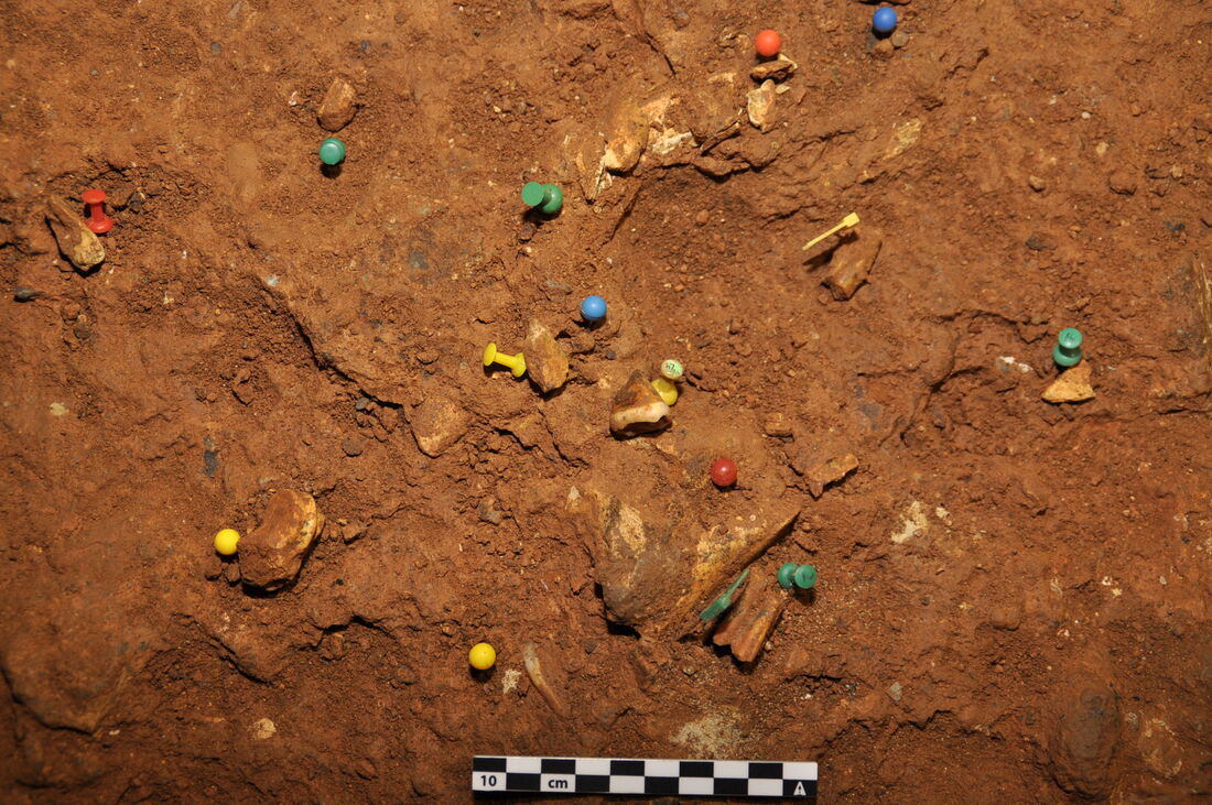 Les excavacions arqueològiques confirmen que els neandertals van ocupar la cova Simanya, al Parc Natural de Sant Llorenç del Munt i l’Obac