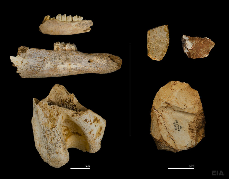 A historical excavation campaign in the Sierra de Atapuerca sites ends
