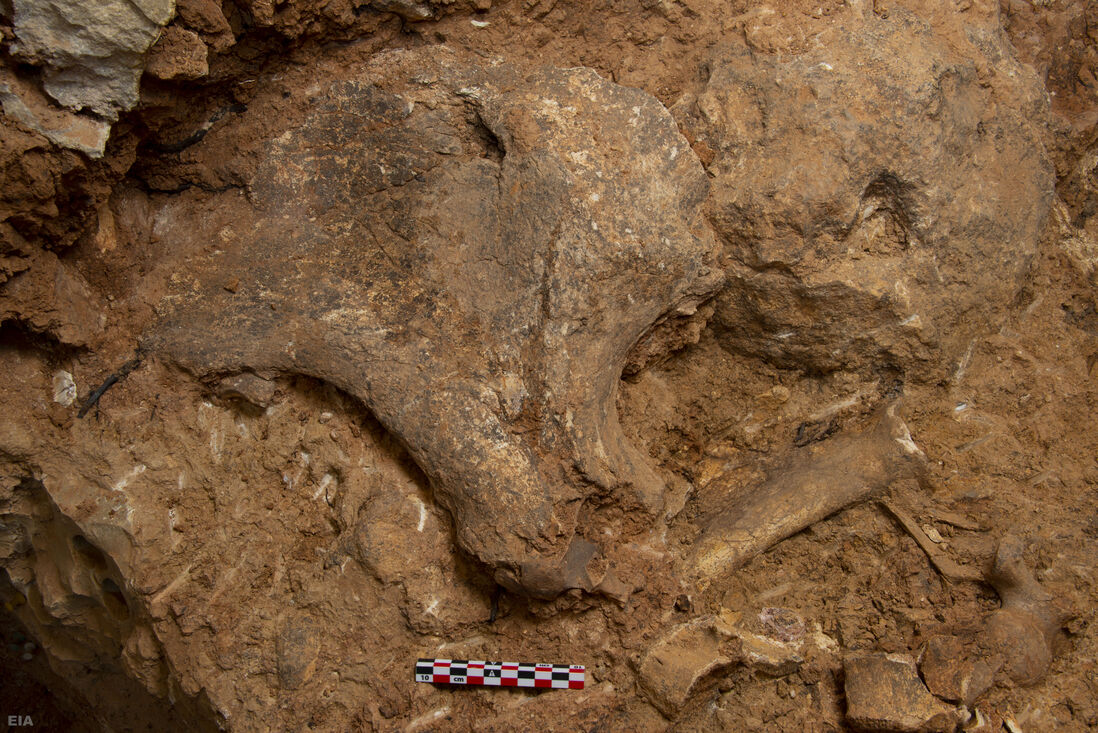 Finalitza una campanya d’excavació històrica en els jaciments de la Sierra de Atapuerca