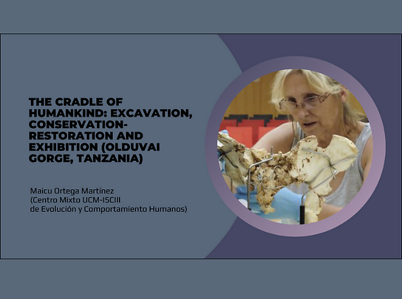 The Cradle of Humankind: Excavation, conservation-restoration and exhibition (Olduvai Gorge, Tanzania)