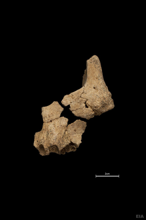 Finaliza una campaña de excavación histórica en los yacimientos de la sierra de Atapuerca