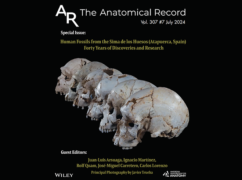 Número especial i Simposi Internacional de la revista The Anatomical Record sobre la Sima de los Huesos