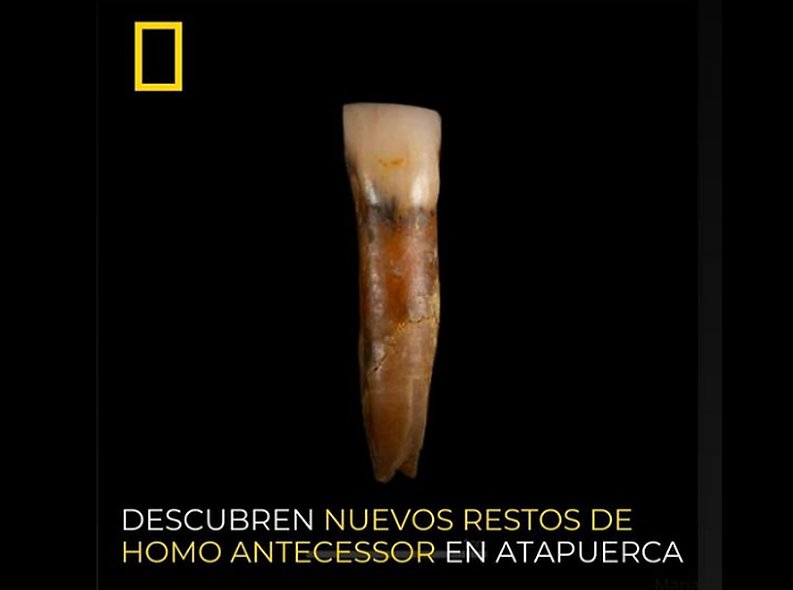 La revista Historia de National Geographic se hace eco de los nuevos restos de Homo antecesor