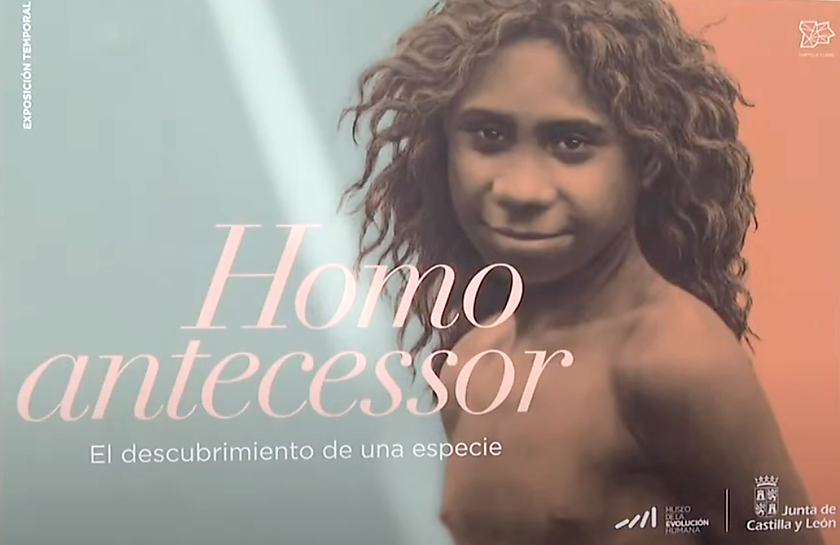 El Museo de la Evolució Humana commemora els 30 anys del descobriment de l´Homo antecessor amb una exposició