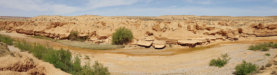 Els fòssils d’un ur i un rinoceront ens ajuden a entendre com es va produir la desertització del Sàhara