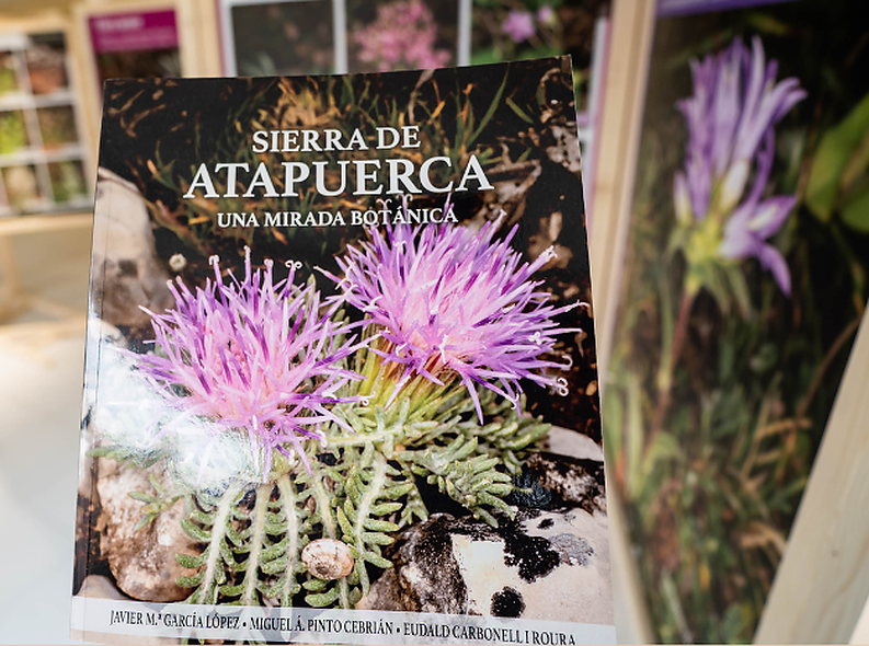 La Fundación Caja de Burgos inaugura l’exposició “Sierra de Atapuerca. Una mirada botánica”