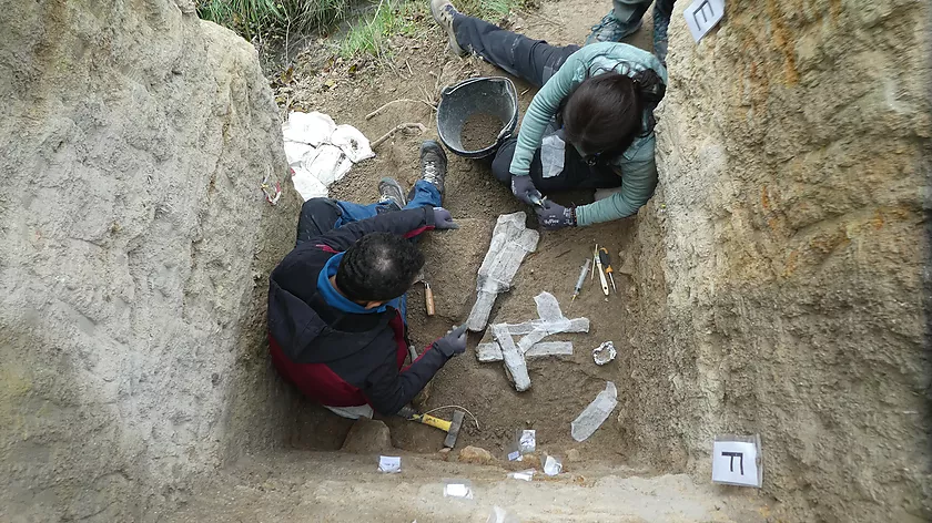 The excavation at the Cal Sitjo site in Sant Martí de Tous uncovers remains from 9,000 years ago