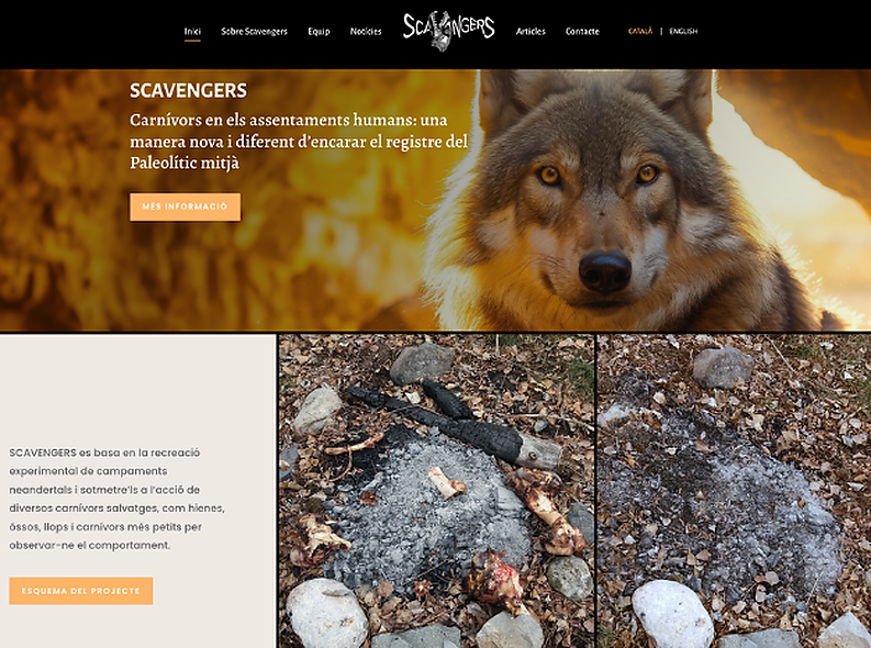 The Scavengers project launches a new website!