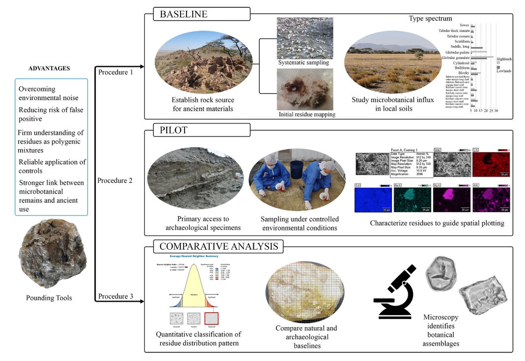 Avances en el estudio de residuos microbotánicos en los instrumentos líticos de los primeros homininos