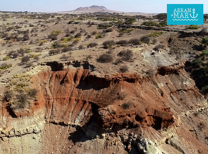 El Homo erectus en el programa Arran de Mar de Tarragona Radio