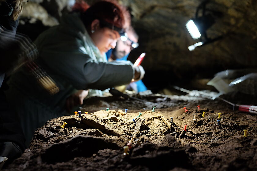 El IPHES-CERCA reanuda una nueva campaña de excavación en el yacimiento del Roc de les Orenetes, en Queralbs