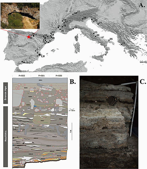 La quema de estiércol clave para entender la conservación de los materiales en el yacimiento de El Mirador (Atapuerca, Burgos)