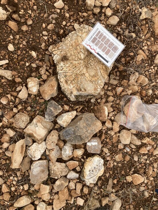 New data about lithic raw materials indicates hominin behavioral flexibility more than one million years ago at the Oldowan sites of Barranco León and Fuente Nueva 3 (Orce, Spain)