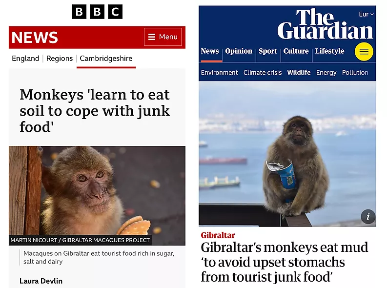 Strong international media coverage of the study involving IPHES-CERCA published in Scientific Reports