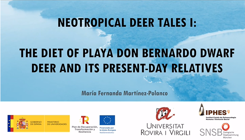 The diet of an extinct species of dwarf deer from Playa Don Bernardo