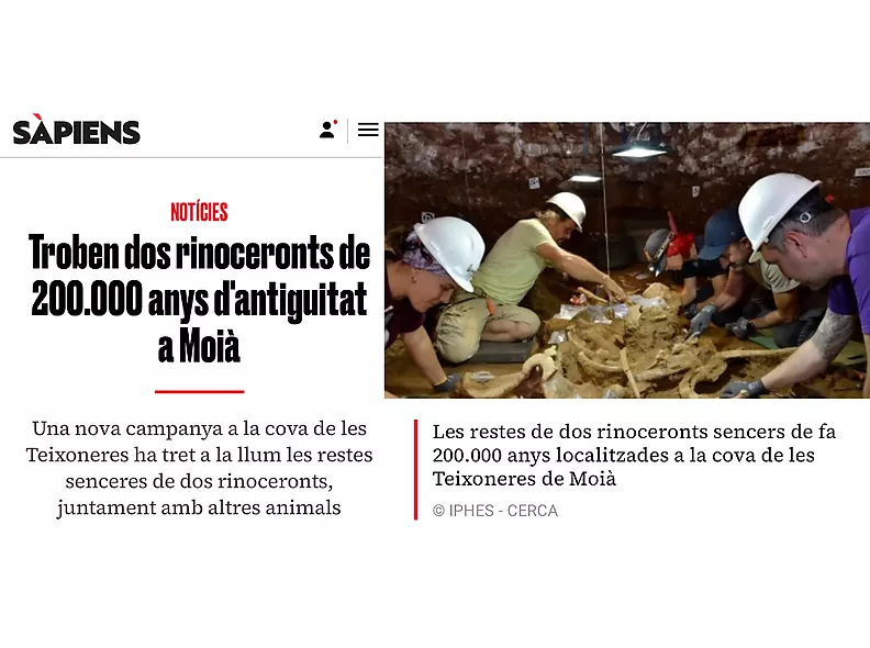 The magazine Sàpiens reports on the two rhinoceros skeletons recovered at the site of the Cova de les Teixoneres (Moià)
