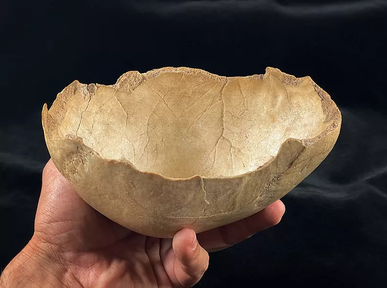 Tres cuevas de Granada revelan que el canibalismo en el sur de Iberia fue una práctica recurrente en el Neolítico