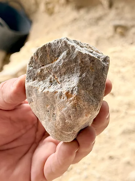 La nova campanya al Barranc de la Boella amplia el registre d’eines de pedra d’un milió d’anys i recupera noves restes de grans mamífers