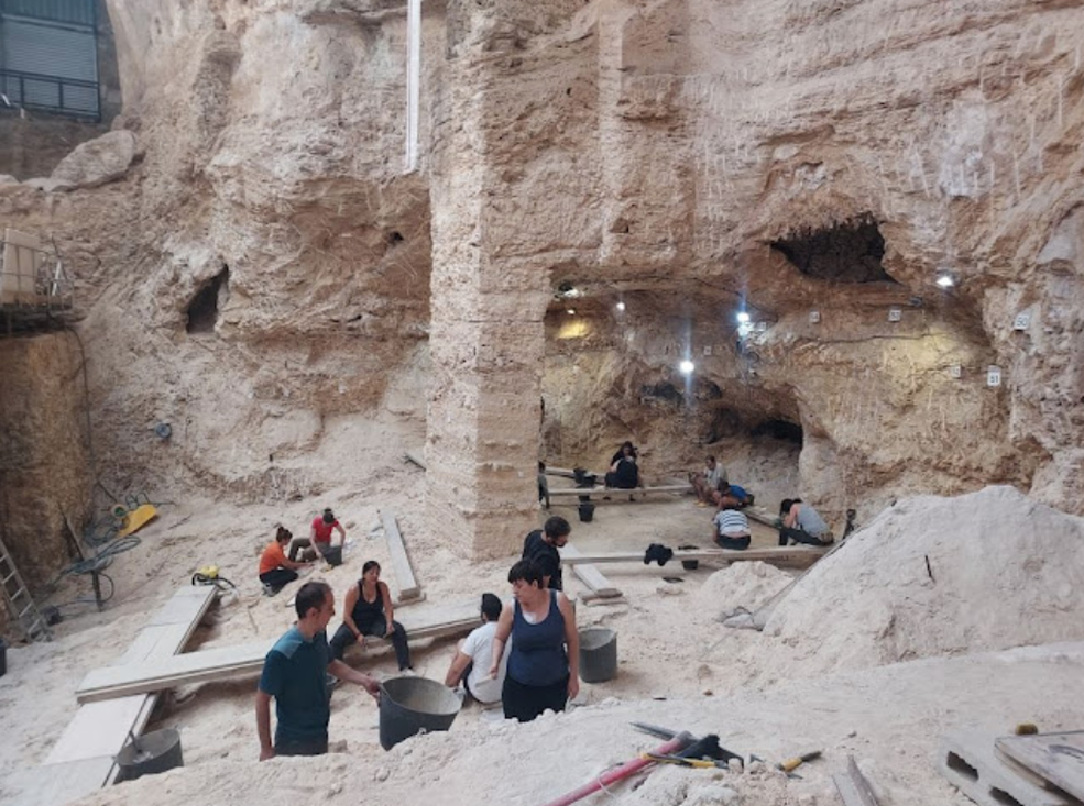Les excavacions d’enguany a l'Abric Romaní revelen un campament de tardor o hivern de comunitats neandertals caçadores de cérvols de fa 60.000 anys