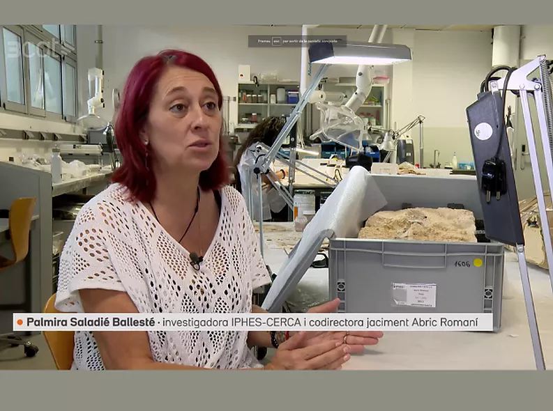L'ús de la fusta per part dels neandertals al 3Cat
