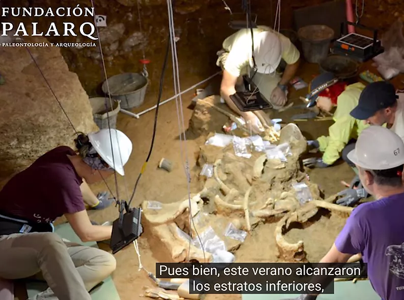 La Fundación Palarq es fa ressò dels dos rinoceronts descoberts a la Cova de les Teixoneres al seu canal de Youtube