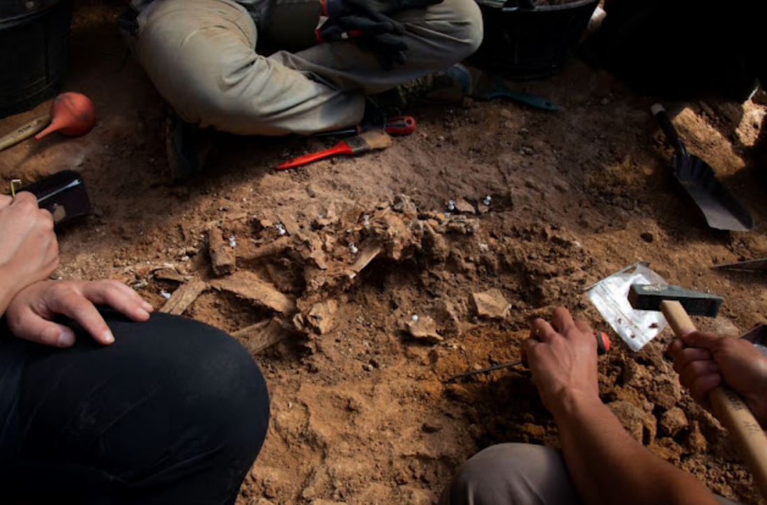 Una lasca de hace 1,4 millones de años avala que la ocupación humana de Atapuerca es más antigua de lo que se pensaba